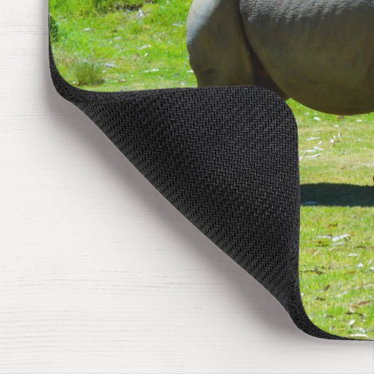 Taronga Western Plains Zoo Dubbo - Rhino Muismat (Hoek)