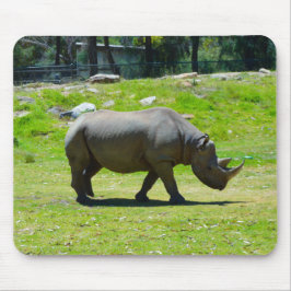 Taronga Western Plains Zoo Dubbo - Rhino Muismat
