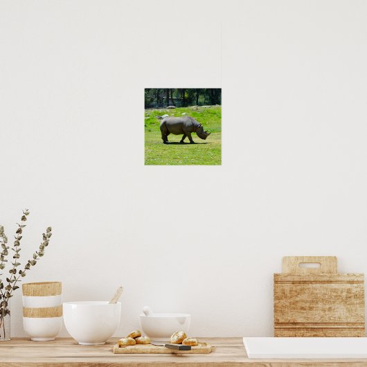 Taronga Western Plains Zoo Dubbo - Rhino Poster (Keuken)