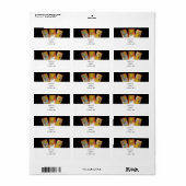 Tarot-Kaarten (2) Etiket (Full Sheet)