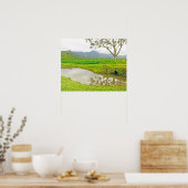 "TAROVELDEN OP WEG NAAR HANALEI" POSTER (Keuken)