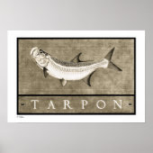 Tarpon  B&W-Posters, -Prints en -Lijsten Poster (Voorkant)