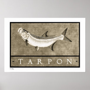 Tarpon  B&W-Posters, -Prints en -Lijsten Poster