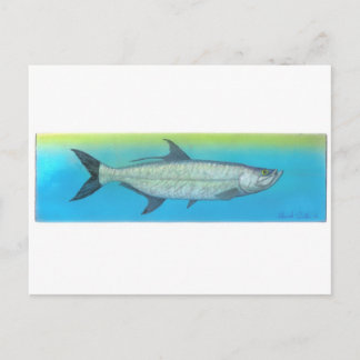 Tarpon Briefkaart