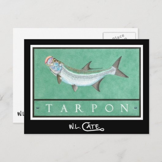 Tarpon Briefkaarten (Voorkant / Achterkant)