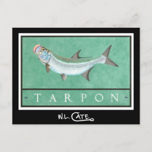Tarpon Briefkaarten