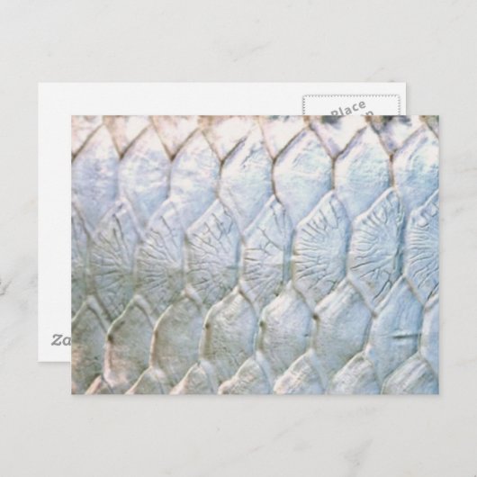 Tarpon door PatternWear© Briefkaart (Voorkant / Achterkant)