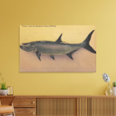 Tarpon Fish uit SW Coast of Florida Canvas Afdruk (Insitu (Woonkamer))