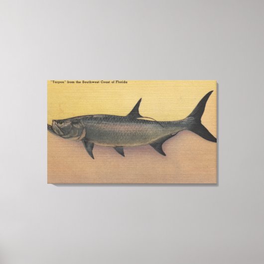 Tarpon Fish uit SW Coast of Florida Canvas Afdruk (Voorkant)