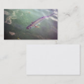 Tarpon Fish Visitekaartje (Voorkant / Achterkant)