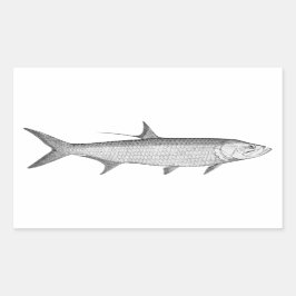 Tarpon Logo (lijn art) Rechthoekige Sticker