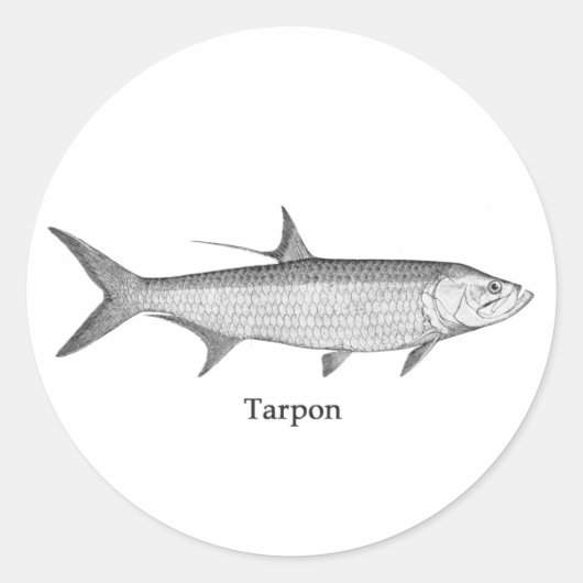 Tarpon Logo (lijn art) Ronde Sticker (Voorkant)