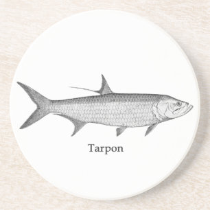 Tarpon Logo (lijnkunst) Zandsteen Onderzetter