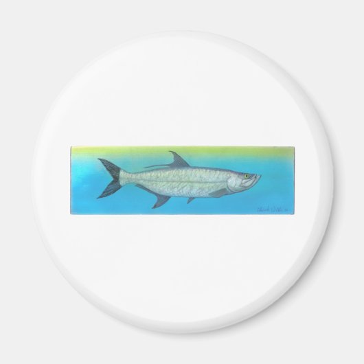 Tarpon Magneet (Voorkant)