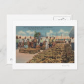 Tarpon Springs, FL - Scene of Sponge Exchange Briefkaart (Voorkant / Achterkant)