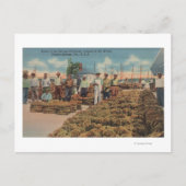 Tarpon Springs, FL - Scene of Sponge Exchange Briefkaart (Voorkant)