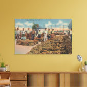 Tarpon Springs, FL - Scene of Sponge Exchange Canvas Afdruk (Insitu (Woonkamer))