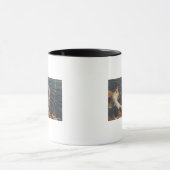 Tarpon Springs, FL - Uitzicht van duikboe Mok (Midden)