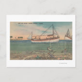 Tarpon Springs, FL - Uitzicht van Zee van Boat en Briefkaart (Voorkant)