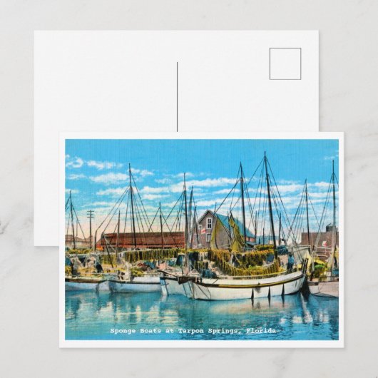 Tarpon Springs, Florida Sponge Boats  Briefkaart (Voorkant / Achterkant)