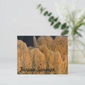 Tarpon Springs Sponge Briefkaart (Staand voorkant)