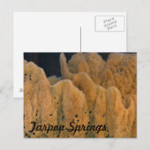 Tarpon Springs Sponge Briefkaart (Voorkant / Achterkant)