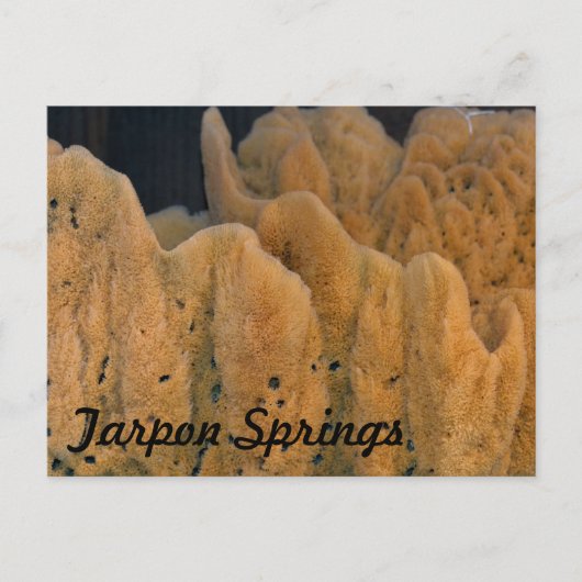 Tarpon Springs Sponge Briefkaart (Voorkant)