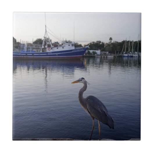 Tarpon Springs Tegeltje (Voorkant)