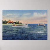 Tarpon Vissen Poster (Voorkant)
