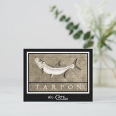 Tarpon  zwarte en witte Briefkaarten (Staand voorkant)
