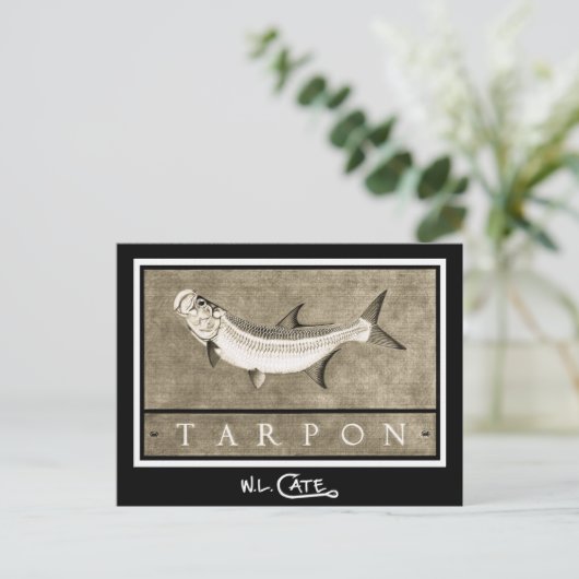 Tarpon  zwarte en witte Briefkaarten (Staand voorkant)