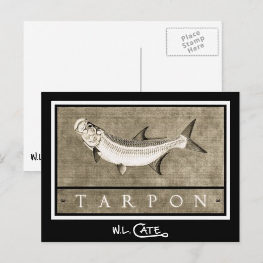 Tarpon  zwarte en witte Briefkaarten (Voorkant / Achterkant)