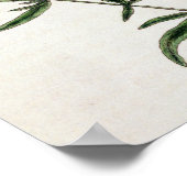 Tarragon, bord 116 uit 'A Curious Herbal', publicl Poster (Hoek)