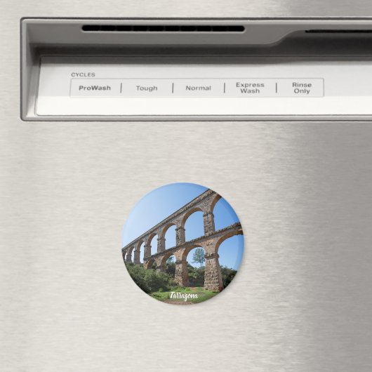 Tarragona aquaduct magneet (Insitu (Vaatwasser))