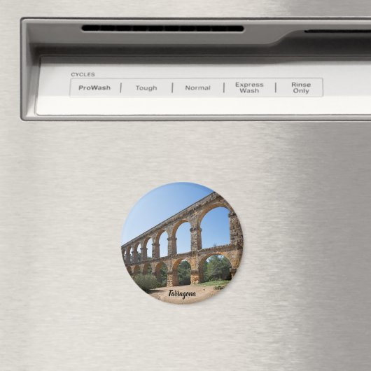 Tarragona aquaduct magneet (Insitu (Vaatwasser))