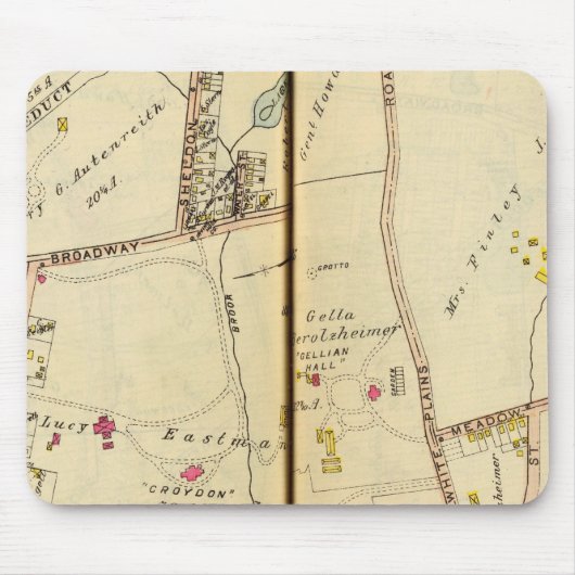 Tarrytown, New York 2 Muismat (Voorkant)