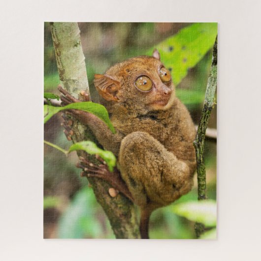 Tarsier-aap in het wild legpuzzel (Verticaal)