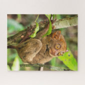 Tarsier-aap in het wild legpuzzel (Horizontaal)