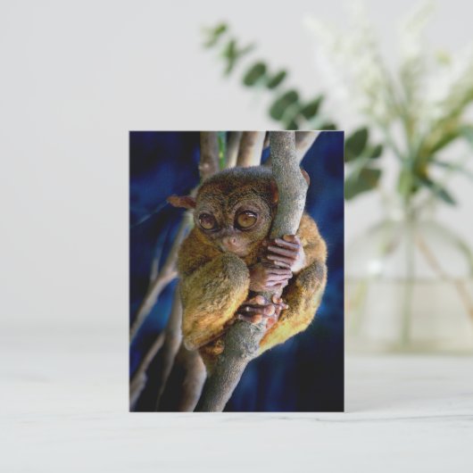 Tarsier Briefkaart (Staand voorkant)