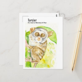 Tarsier- DNM-Briefkaarten Briefkaart