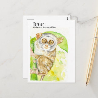 Tarsier- DNM-Briefkaarten Briefkaart