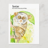 Tarsier- DNM-Briefkaarten Briefkaart (Voorkant)