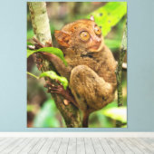 Tarsier Monkey Wildlife Leuk Dier Canvas Afdruk (Insitu (Houten vloer))