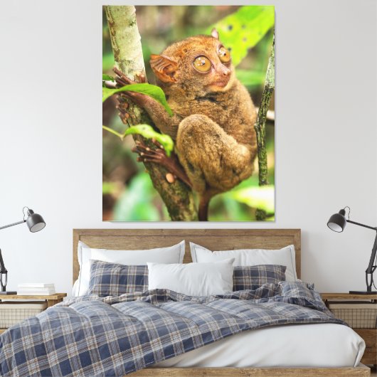 Tarsier Monkey Wildlife Leuk Dier Canvas Afdruk (Insitu (Slaapkamer))