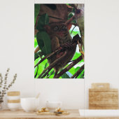 Tarsier Poster (Keuken)