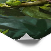 Tarsius Syrichta: Tarsieraap in natuurlijk Oerwoud Poster (Hoek)