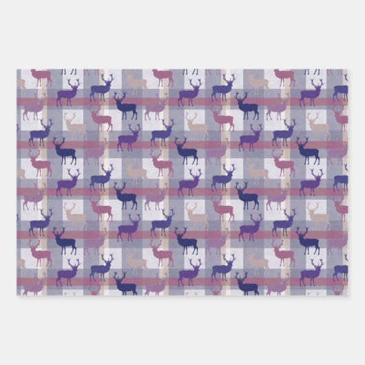 Tartan Hertengewei Hengstverjaardagsfeestje  Inpakpapier Vel (Voorkant 3)