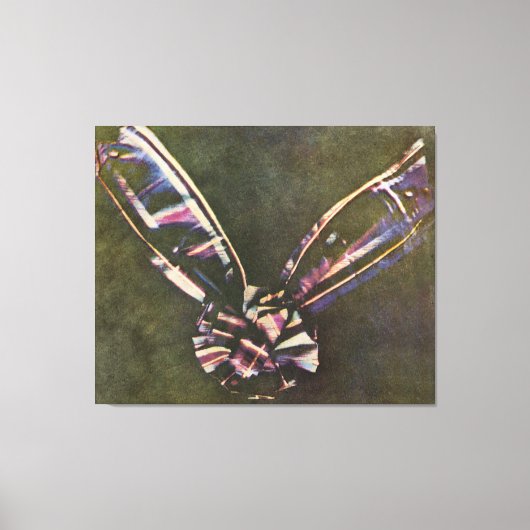 Tartan Ribbon, eerste bekende kleurenfoto Canvas Afdruk (Voorkant)