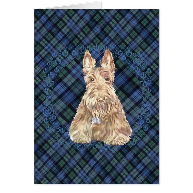 Tartan Schotse Terriër (Voorkant)