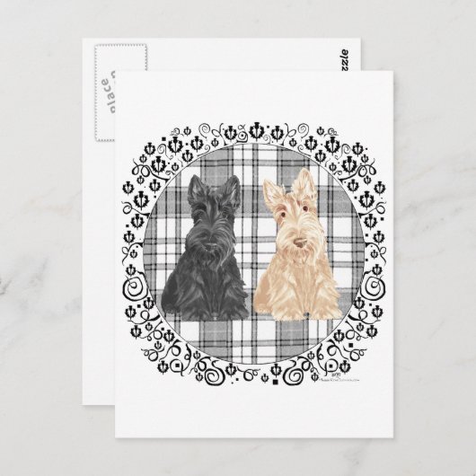 Tartan Scotties Briefkaart (Voorkant / Achterkant)